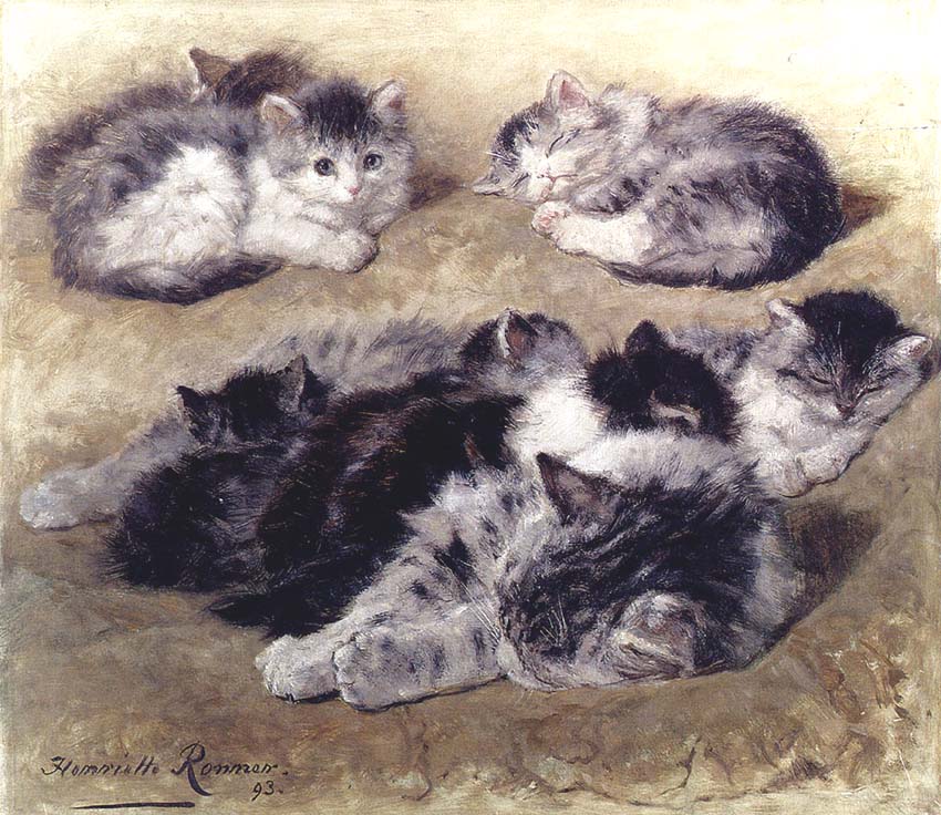 A Study of Cats