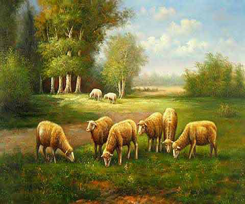 Grazing Sheep