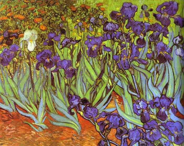 Irises