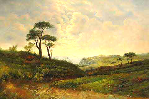 Country Landscape