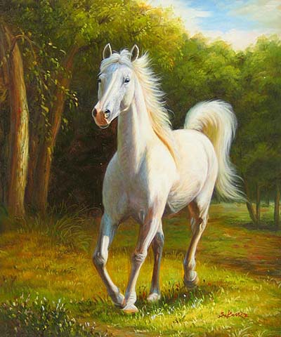 White Arabian