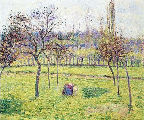 Apple Trees in a Field