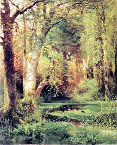 Forest Scene