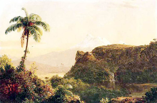 Tropical Landscape