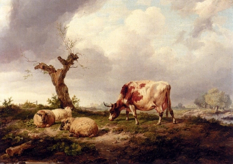 A Cow With Sheep In A Landscape