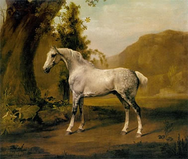 A Grey Stallion In a Landscape