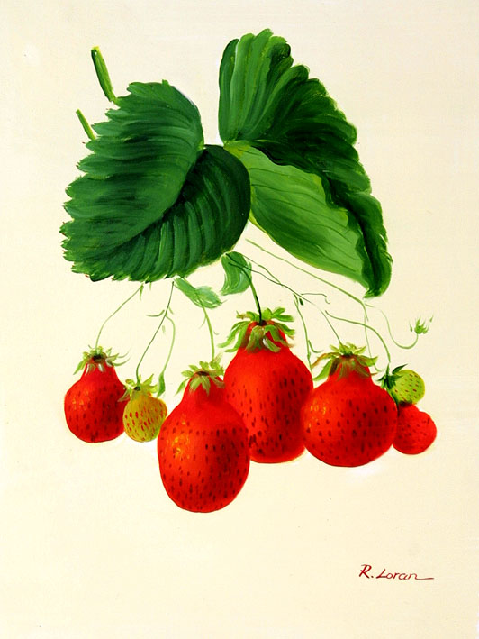 Strawberries