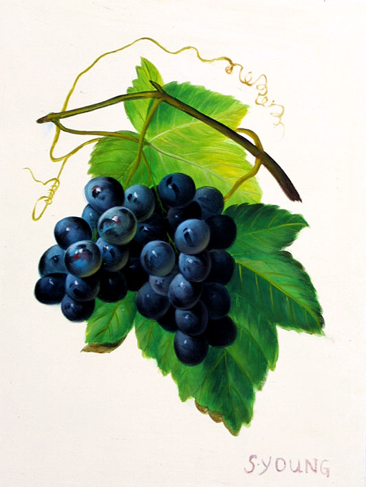 Bunch of Grapes