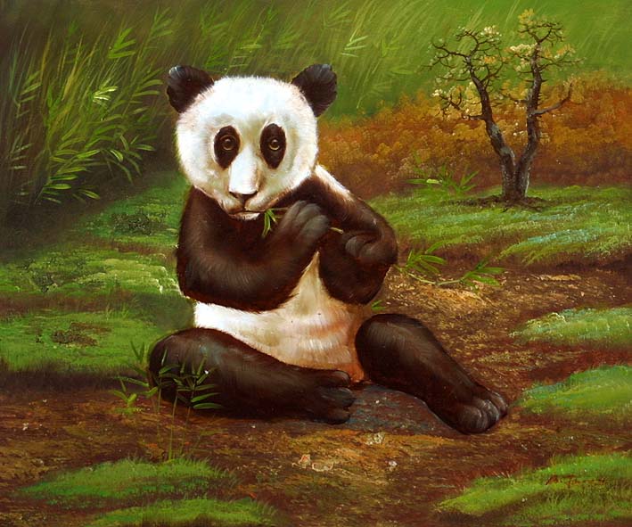 Panda Bear Gnawing At A Bamboo Cane