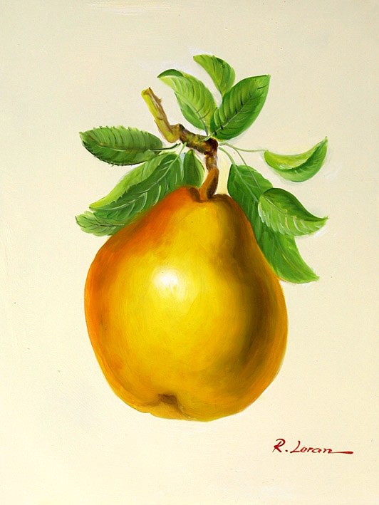 Pears