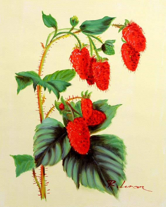 Raspberries