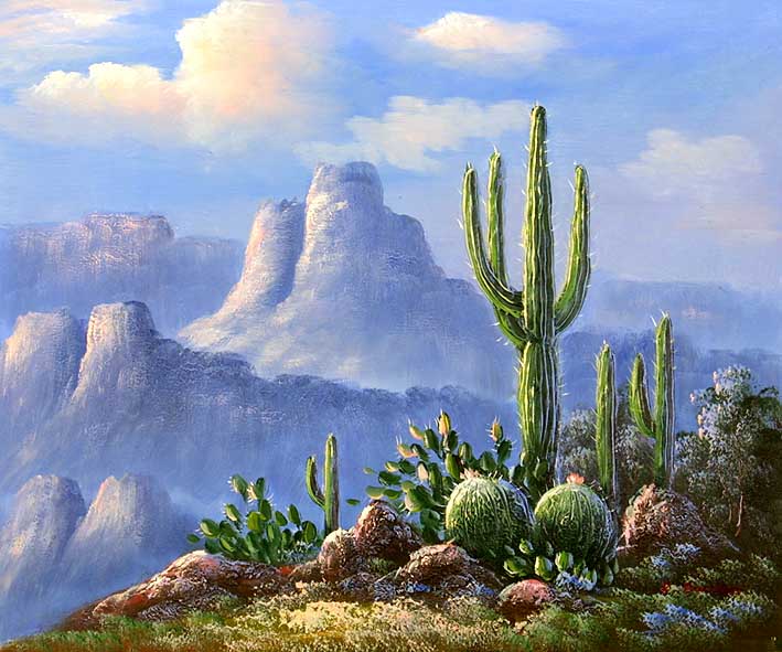 Cactus Desert