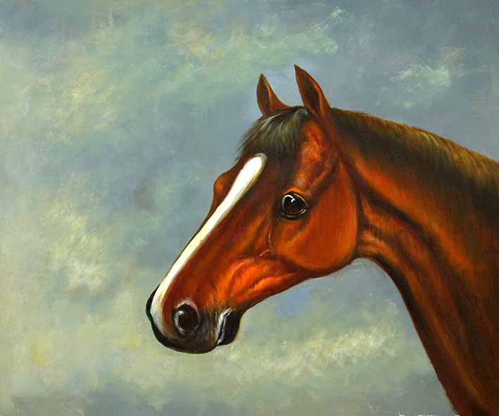 Horse Portrait