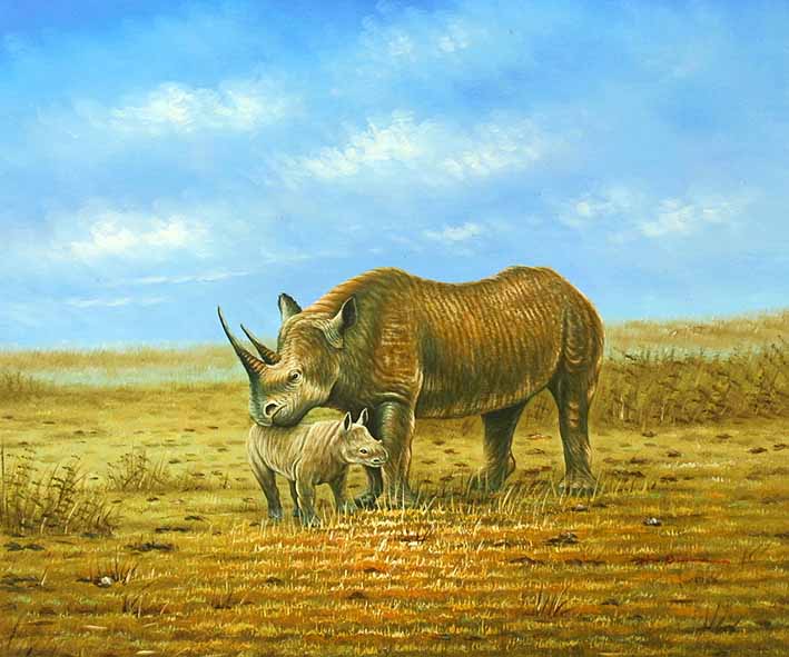 Mamma & Baby Rhino
