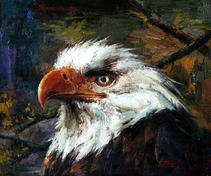 American Bald Eagle Portrait