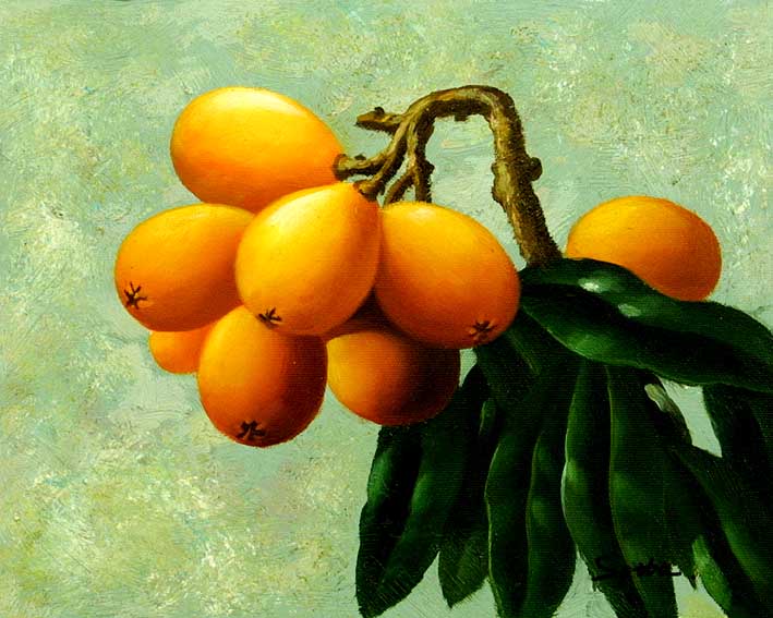 Kumquats on the Stem