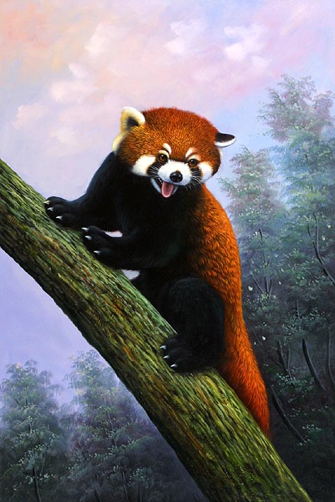 Red Panda in Tree, I