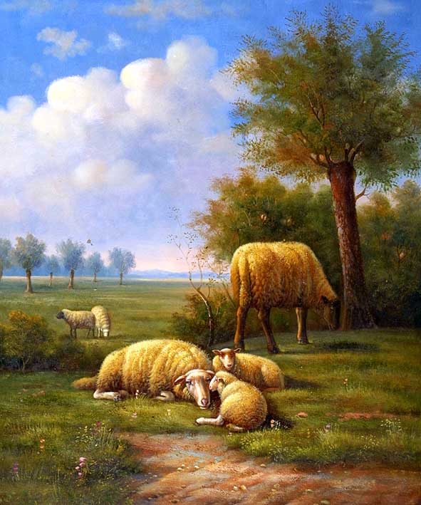 Sheep Lazying in a Field