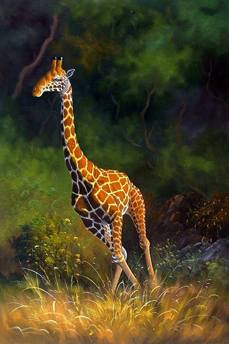 Trotting Giraffe