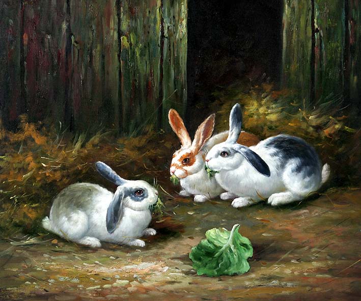 Barn Bunnies