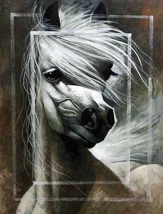 Horse Portrait