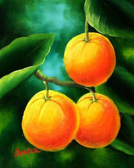 Oranges on the Tree