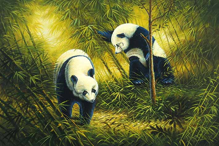 Panda Couple