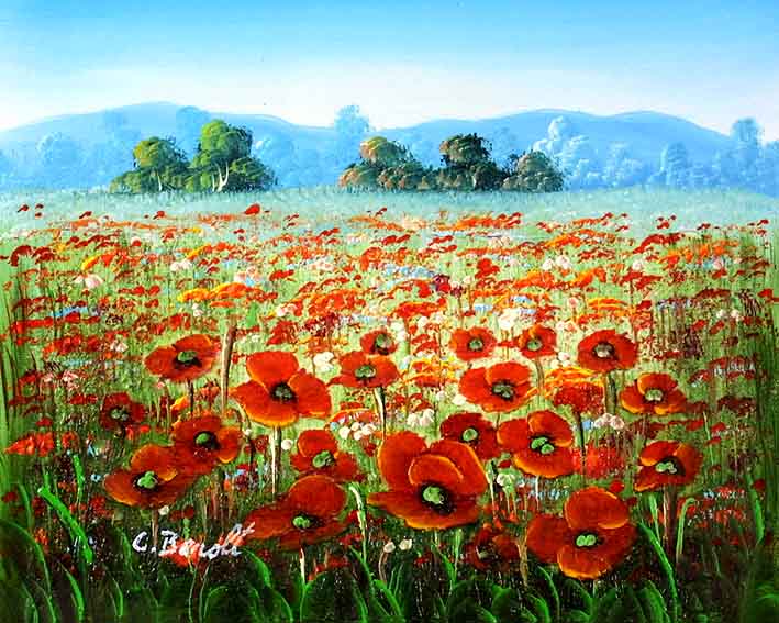 Poppies in the Field