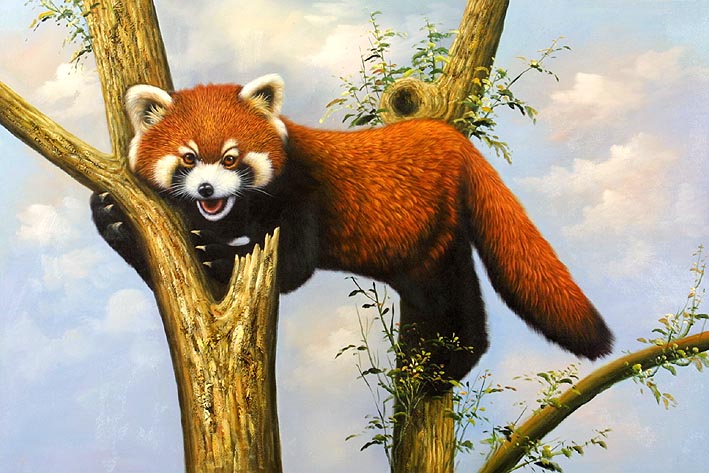 Red Panda in Tree, II