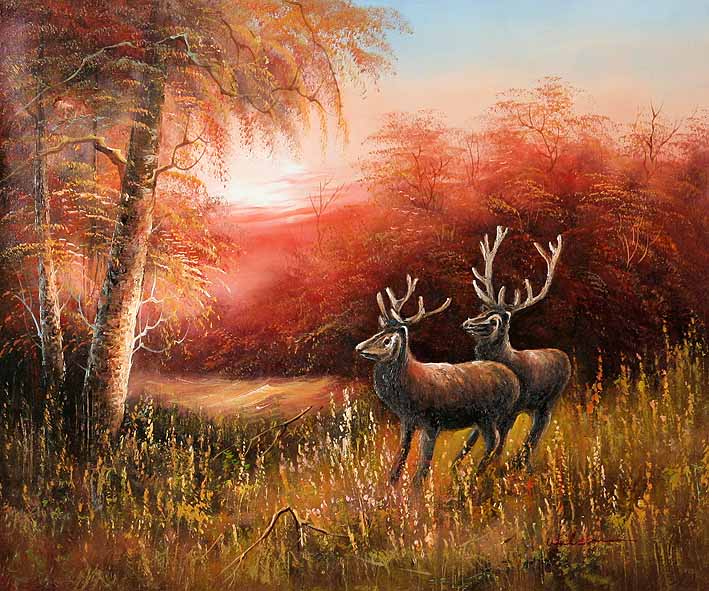 Deer Couple in Woods