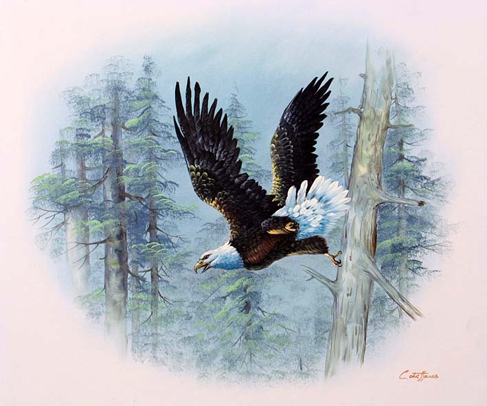 Eagle in Flight