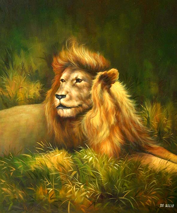 Lion Portrait