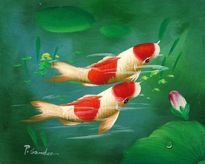 Koi Carps