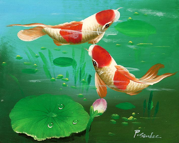 Koi Carps