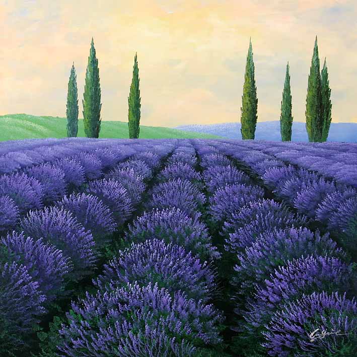 Lavender Land, V