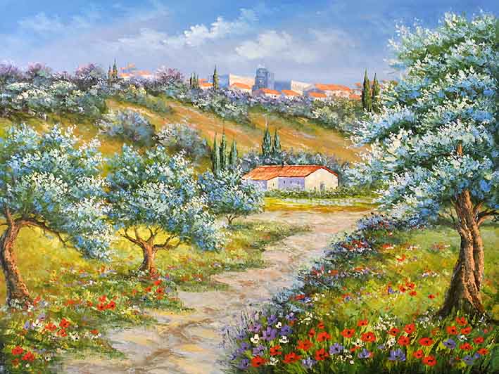 Olive Grove