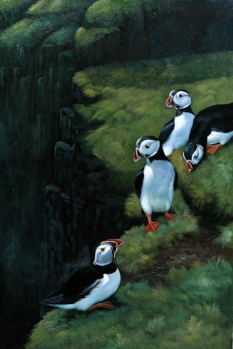 Puffins on a Grassy Cliff