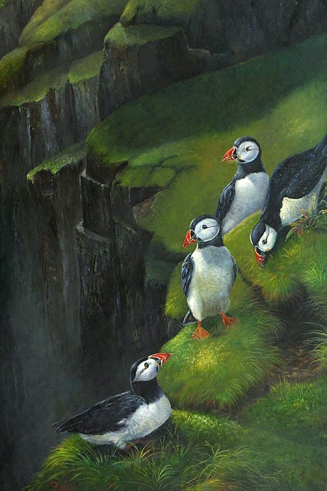 Puffins On A Grassy Cliff