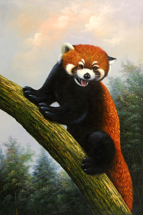 Red Panda in Tree, I