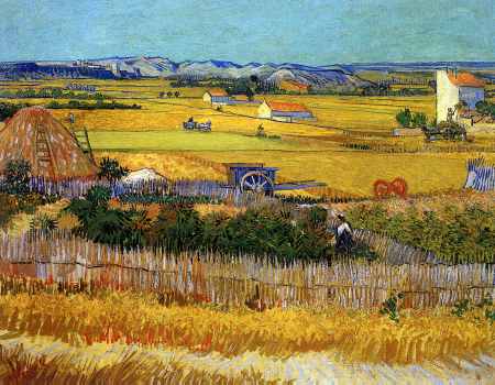 Harvest at La Crau