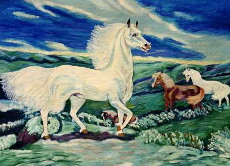 The Proud White Horse
