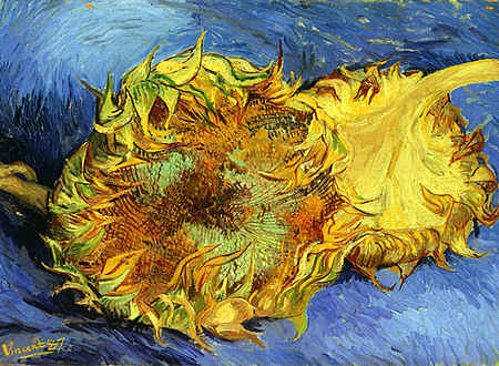 Two Sunflowers