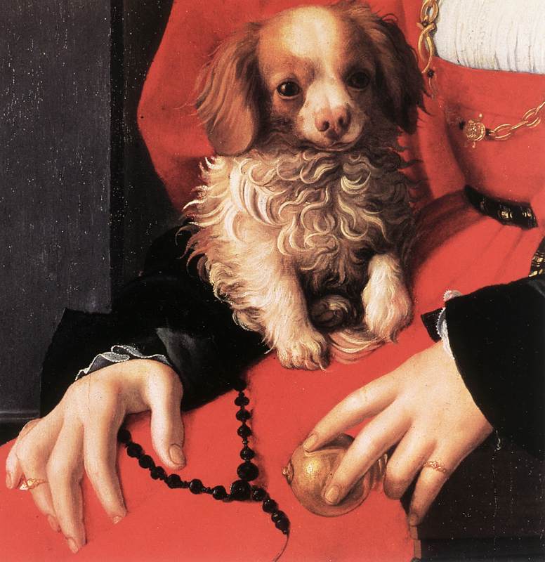 Portrait of a Lady with a Puppy (detail)