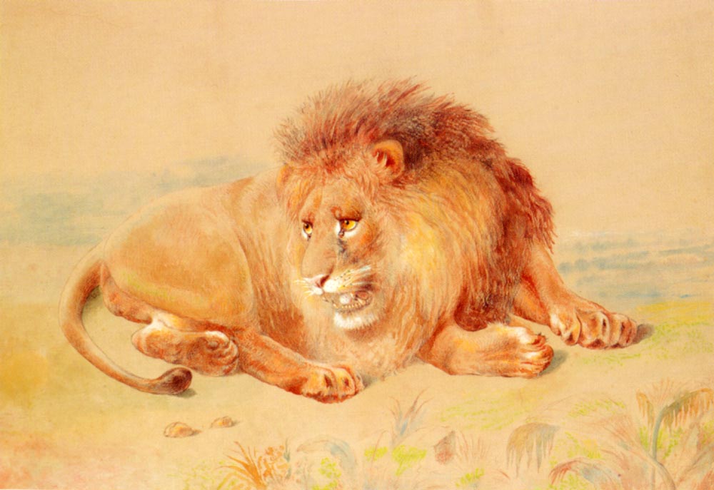 Lion