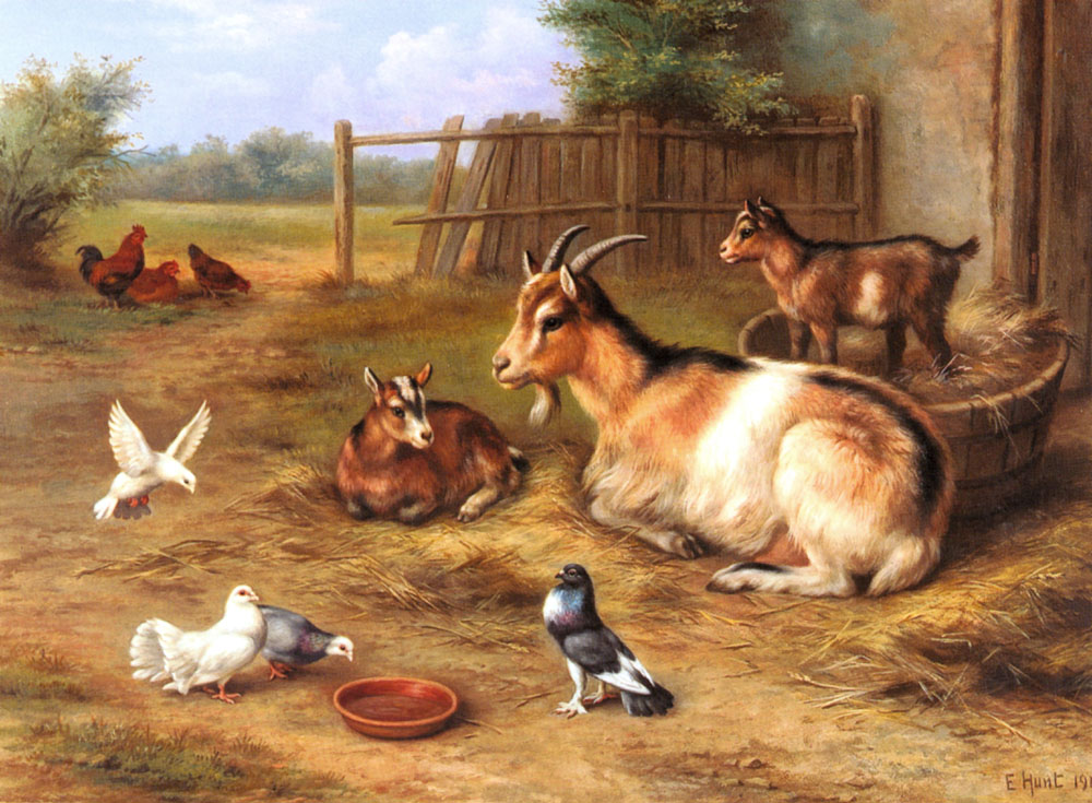 A Farmyard Scene with goats, chickens, doves