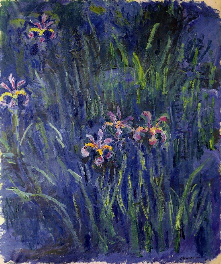 Irises 2