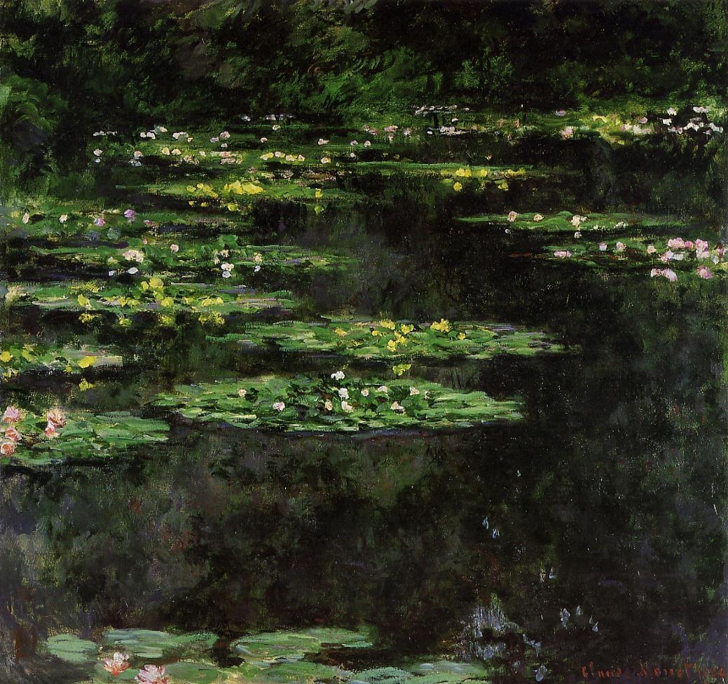 Water-Lilies 4