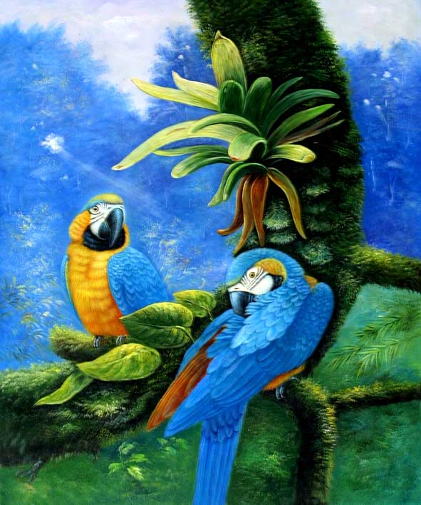 Blue and Gold Macaws