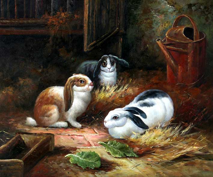 Rabbits at the Farm