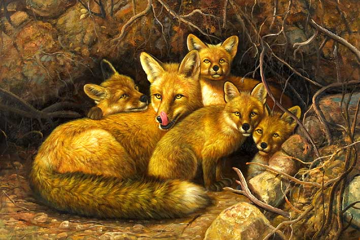 Fox Family